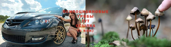 герыч Абаза